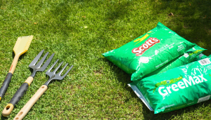 Dans l&rsquo;entretien attentif d&rsquo;une pelouse verdoyante, choisir le bon engrais représente une étape cruciale, souvent déterminante pour le succès de votre jardin. Alors que les espaces verts gagnent en importance dans les modes de vie actuels, la compréhension des différentes [&hellip;]