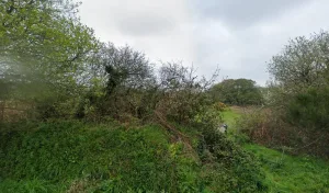 Le Buzulier Vincent à Trébeurden