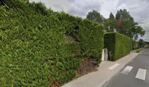 GODEFROY BRUNO à Mouen
