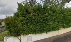 Tout-confort à Sainte-Eulalie