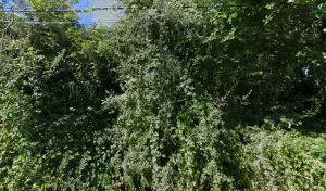 Mon Chauffage Vert – 85 à Aubigny-Les Clouzeaux