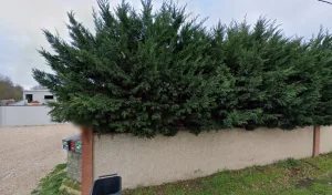 Ecologis Systems à Fonsorbes
