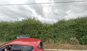 Salzert Entreprise SARL à Vouillé