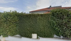 Alu 5 Plus Sarl à Brunstatt-Didenheim