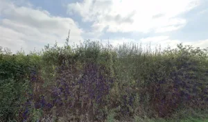 PCA HABITAT à Mesnard-la-Barotière