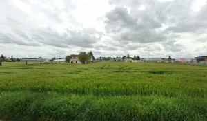 SAS Bonotto à Marmande