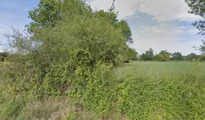 Calmet Sébastien à Saint-Clément-des-Levées