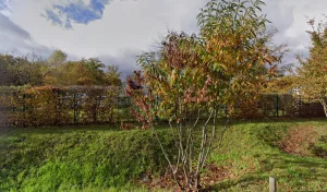 Prestateam à Saint-Étienne-du-Rouvray